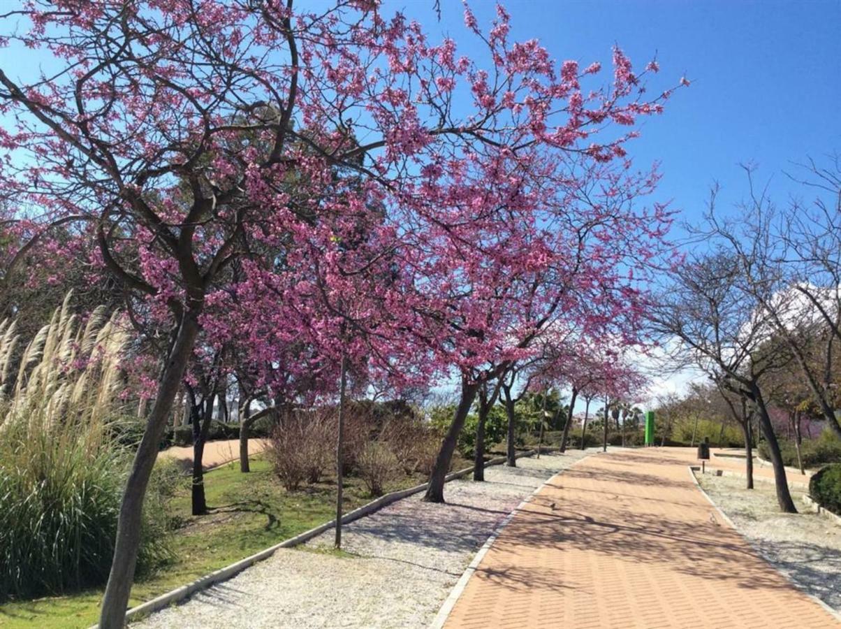 797 Holiday Rentals - Amplio Piso Para 4 En El Centro De Arroyo De La Miel 베날마데나코스타 외부 사진